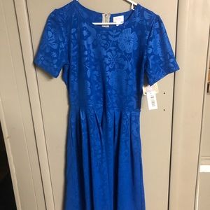Cobalt Blue NWT Amelia Dress
